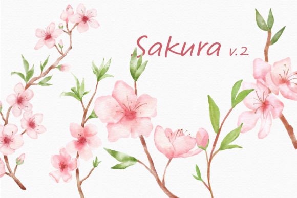 Embracing Spring: The Sakura Watercolor Flower Branch Floral Collection