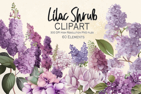 Lilac Shrub Watercolor Clipart: A Fresh Take on Floral Design
