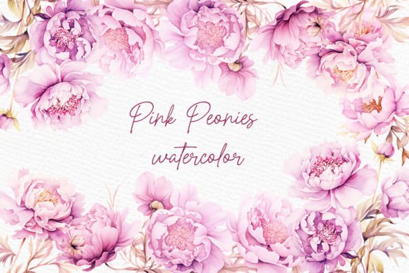 Watercolor Pink Flowrs Clipart Peonies for Modern Design